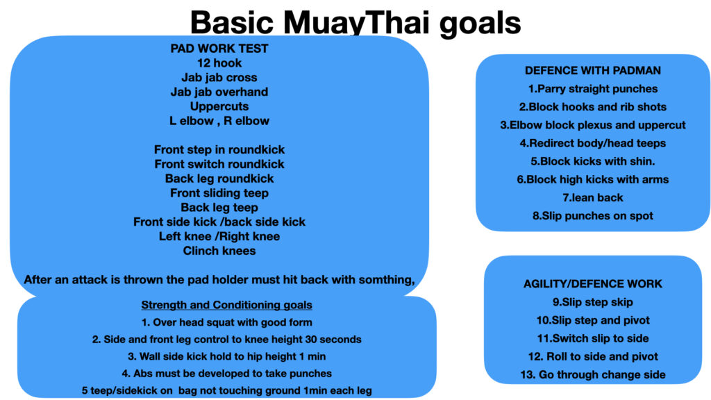 MuayThai classes